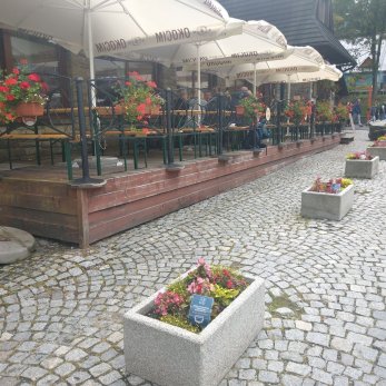 donice-zaadoptowane-przez-spolke-polskie-tatry-s-a_f (1)